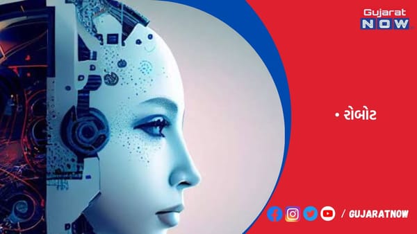 સહજતા - સુરક્ષાના અહેસાસને કારણે રોબોટને મહિલાનું સ્વરૂપ અપાયું