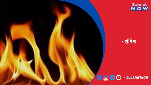 રાજકોટમાં ઘરમાં ગેસ લીકેજથી ધડાકા સાથેઆગ ભભૂકી, પિતા-પુત્ર દાઝ્યા