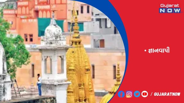 જ્ઞાનવાપીના ત્રણેય ગુંબજ, મિનારાની રચના અને વાસ્તુ જાણવા પુરાવા લીધા