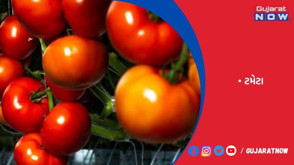 યાર્ડમાં લીલા શાકભાજીની આવક વધી, એક સપ્તાહ બાદ ટમેટાંની આવક વધશે