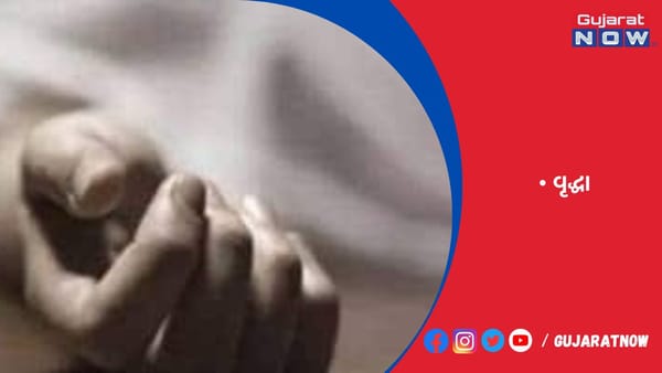 નાગલપુરના વૃદ્ધાનું ઝેરી ટીકડા ખાતા મોત