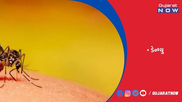 ડેન્ગ્યુ અને ચિકનગુનિયાના 10-10 કેસ આવ્યા