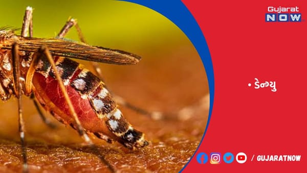 ડેન્ગ્યુ, મલેરિયા-ચિકનગુનિયાના 19 કેસ