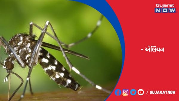 એલિયન પ્રજાતિઓથી 60 ટકા વનસ્પતિ અને જીવ લુપ્ત થવાને આરે!