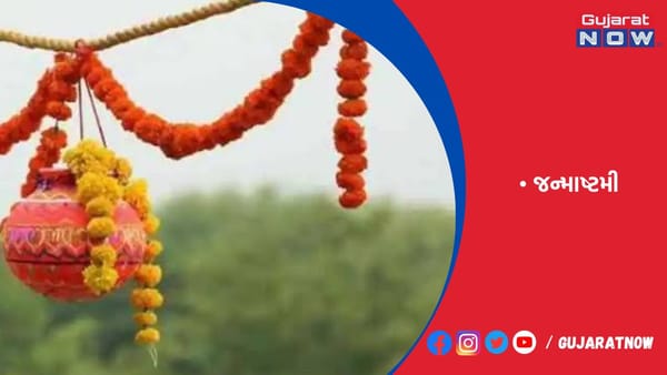 દર્શન યુનિ.માં જન્માષ્ટમી મહોત્સવની ઉજવણી વિદ્યાર્થીઓએ મટકીફોડી