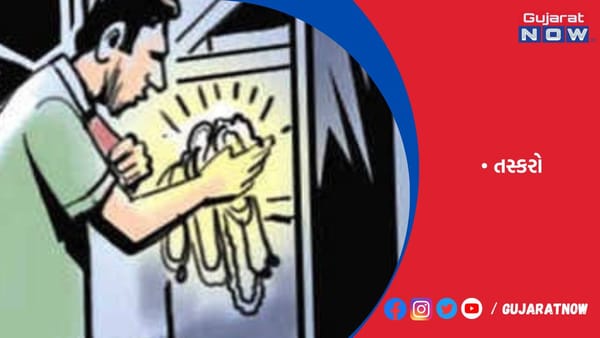 રાજકોટ ફરીને પરત આવ્યાના એક કલાકપહેલા જ તસ્કરો કળા કરી ગયા