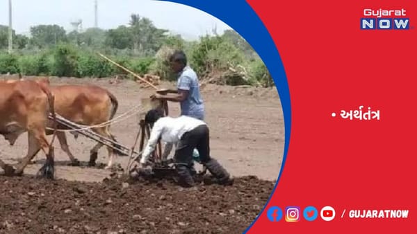 પાકમાં જીવાત, રોગથી વૈશ્વિક અર્થતંત્રને દર વર્ષે રૂ.18.18 લાખ કરોડનું નુકસાન