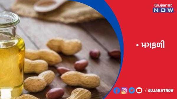મગફળીનું ઉત્પાદન 1.86 લાખ ટન વધશે