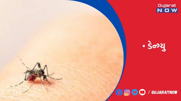 રાજકોટ ચિકનગુનિયાના સપ્તાહમાં જ 8 નવા દર્દી, ડેન્ગ્યુના 9