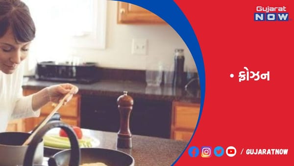 અમેરિકામાં રોટલીની તમામ આઇટમ ફ્રોઝન સ્વરૂપમાં ઉપલબ્ધ