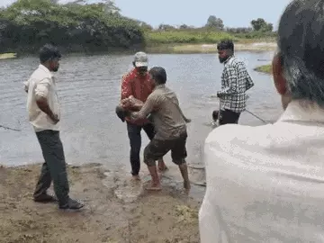 જામકંડોરણાના પાદરિયા ગામે તળાવમાં ડૂબવાથી 3 બાળકનાં મોત