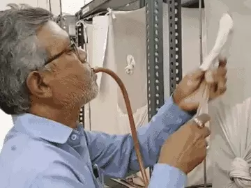 સાયન્ટિસ્ટ આપે છે મચ્છરોને VIP ટ્રિટમેન્ટ