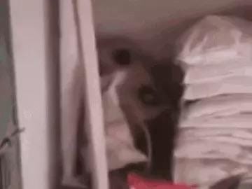 દિલ્હી બ્લાસ્ટ: ડૉ. મુઝમ્મિલ ઘંટીમાં યુરિયા પીસતો હતો