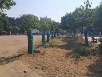 રાજકોટમાં વૃક્ષોનો વૈજ્ઞાનિક સર્વે કરાશે, 65 લાખનું ટેન્ડર