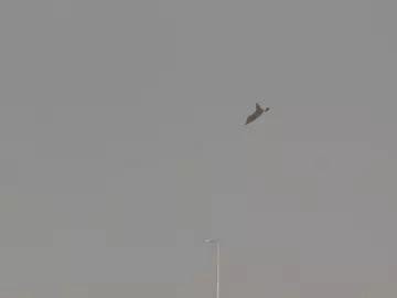 તેજસ ક્રેશ પછી 2 દિવસમાં HALના શેર 7% ઘટ્યા