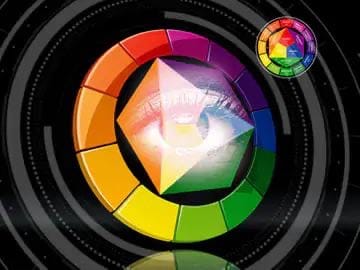 બિઝનેસમાં રંગો કેવી રીતે 5 અલગ અલગ પ્રકારે દ્રષ્ટિ, વાટાઘાટો અને નિર્ણય લેવા પર પ્રભાવ પાડી શકે છે